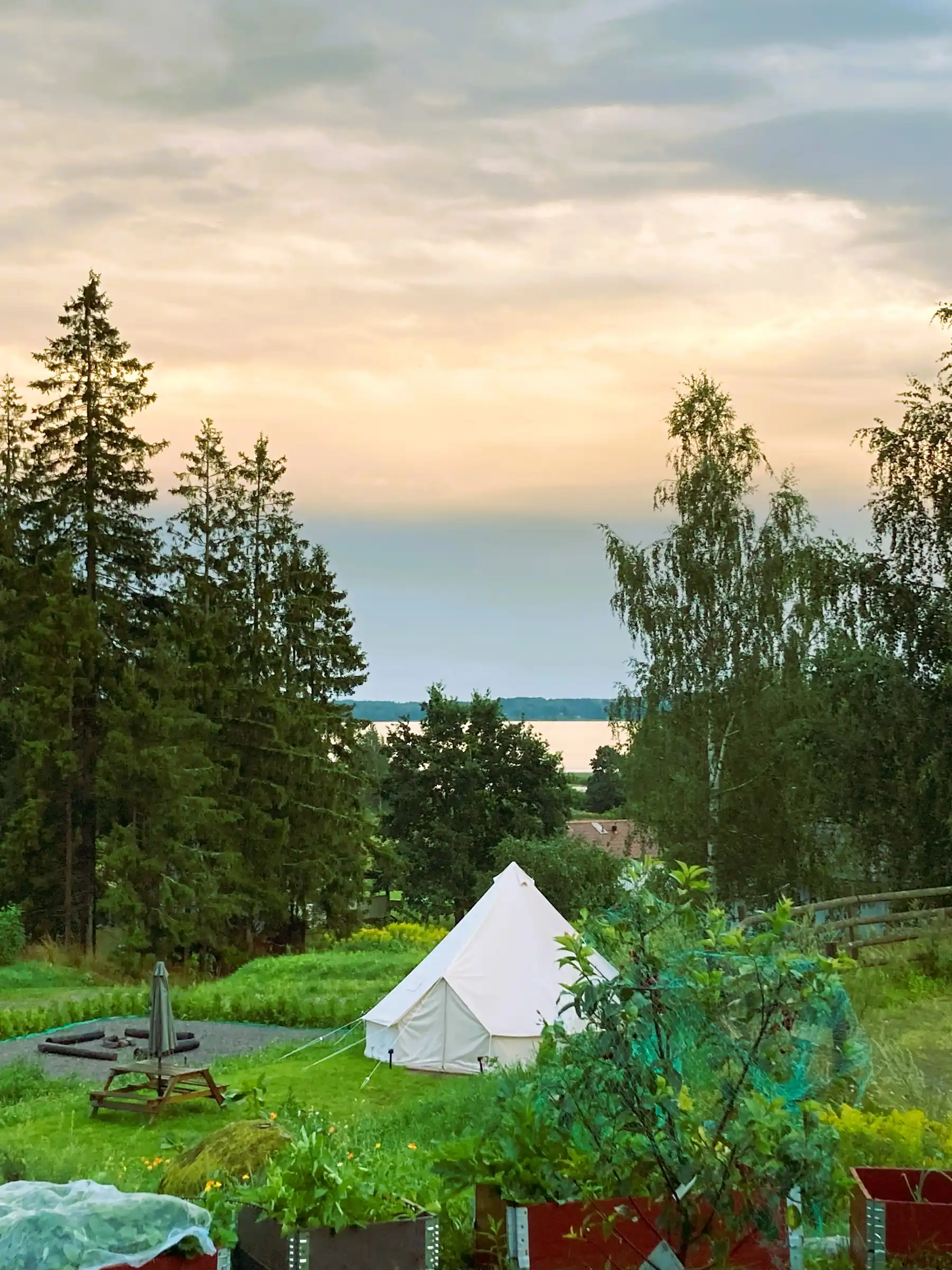 Glampingtält på Ulvsby Ranch