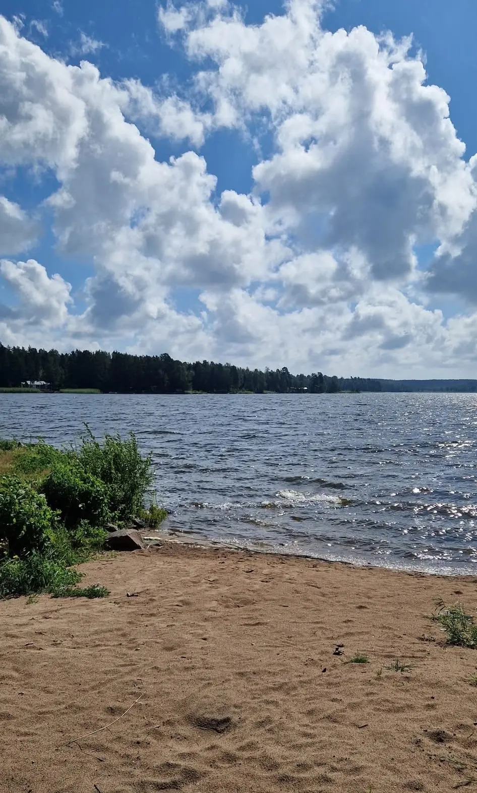 Stranden vid sjön Alstern